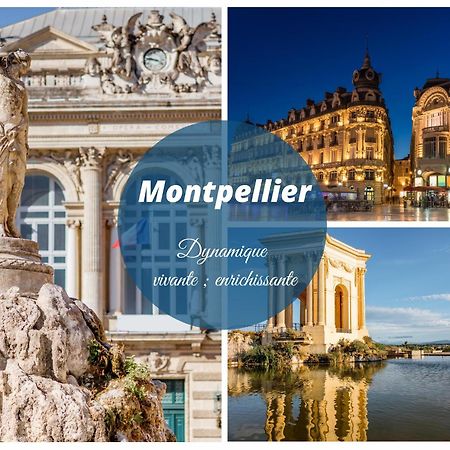 Reve Bleu Residence La Grande Pyramide Vue Port Hyper Centre Wifi Parking Prive Gratuit La Grande-Motte Exterior foto