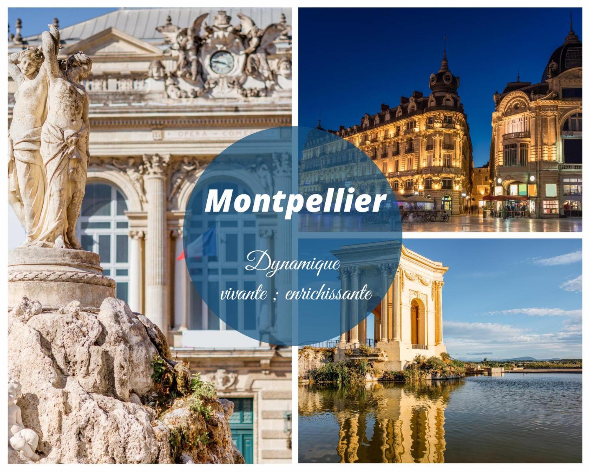 Reve Bleu Residence La Grande Pyramide Vue Port Hyper Centre Wifi Parking Prive Gratuit La Grande-Motte Exterior foto